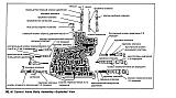 Помогите настроить АКПП С3-gidrablok2p.jpg
